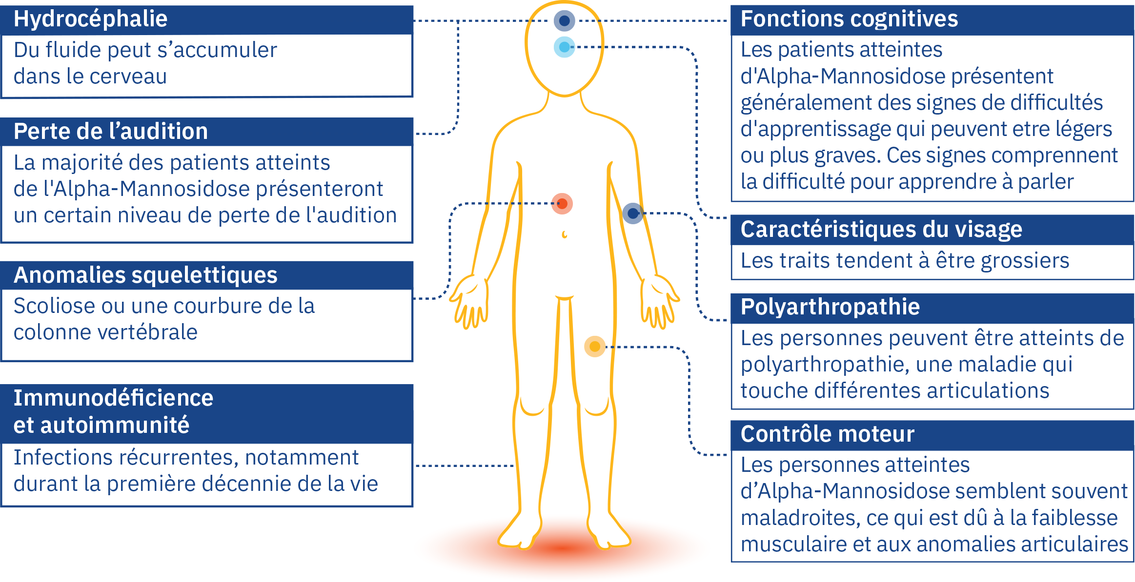 fr-signs-of-alphamannosidosis